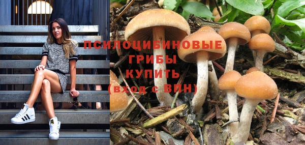 кокаин Алексеевка