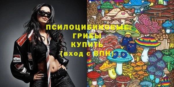эйфоретик Алзамай