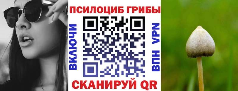 Галлюциногенные грибы GOLDEN TEACHER  магазин    Зуевка 